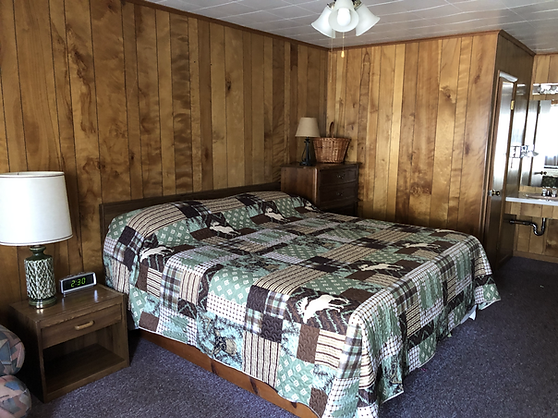 Standard double room